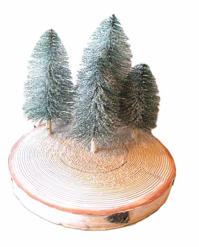 Holzscheibe mit Bäumchen