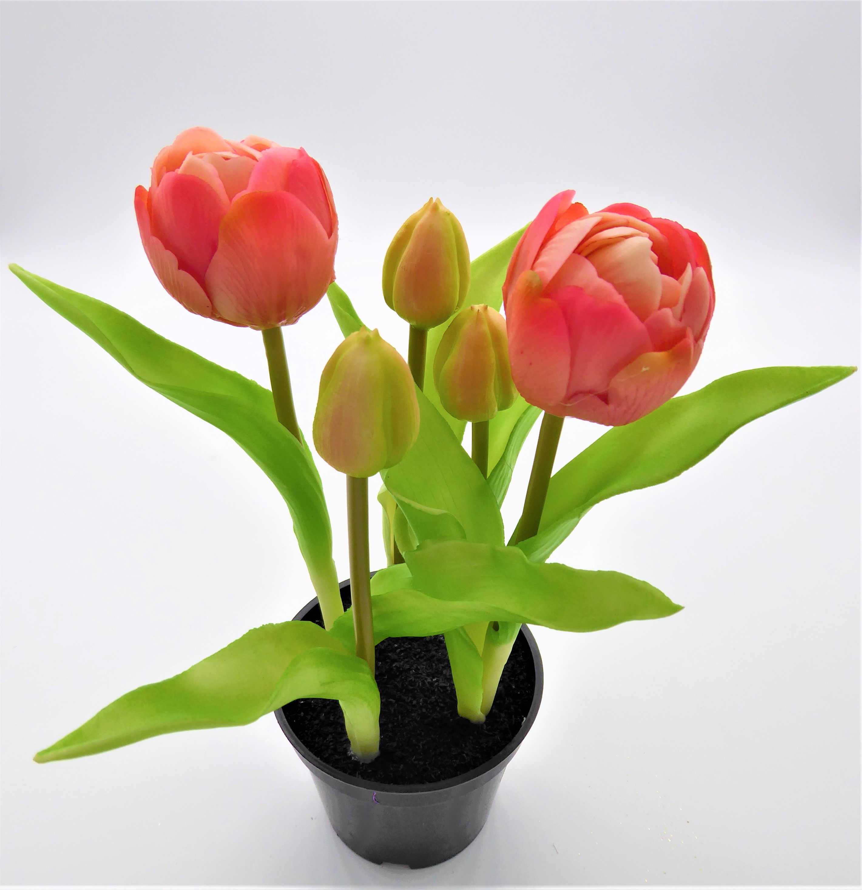 Kunstblumen,Ostertulpen, tulpen, Blumentopf | Schenkschn by Steinmetz GmbH