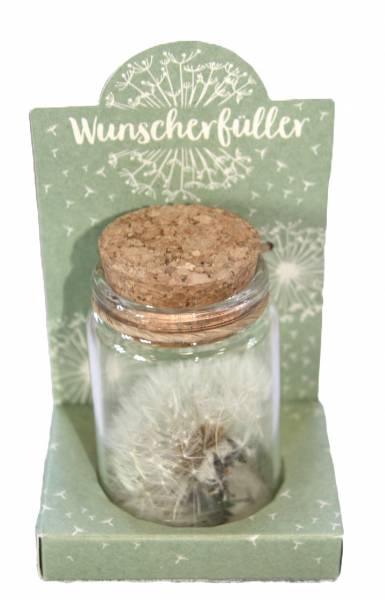 Wunscherfüller Pusteblume im Glas